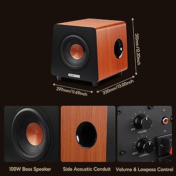 Amazon.com: AIYIMA 800X 8 Inch Powered Subwoofer 150W